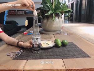 垃圾分类后垃圾放哪里,科罗娜配黄柠檬还是青柠檬