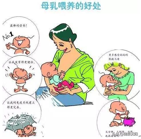 全国母乳喂养宣传日|母乳喂养——给宝宝免疫力的第一道屏障