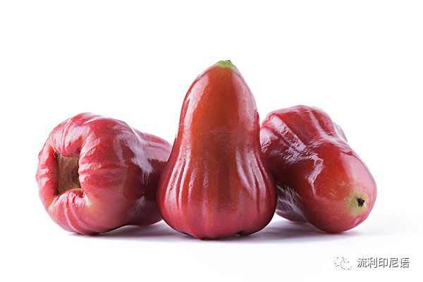 清凉一夏愉快吃瓜—印尼常见水果大全