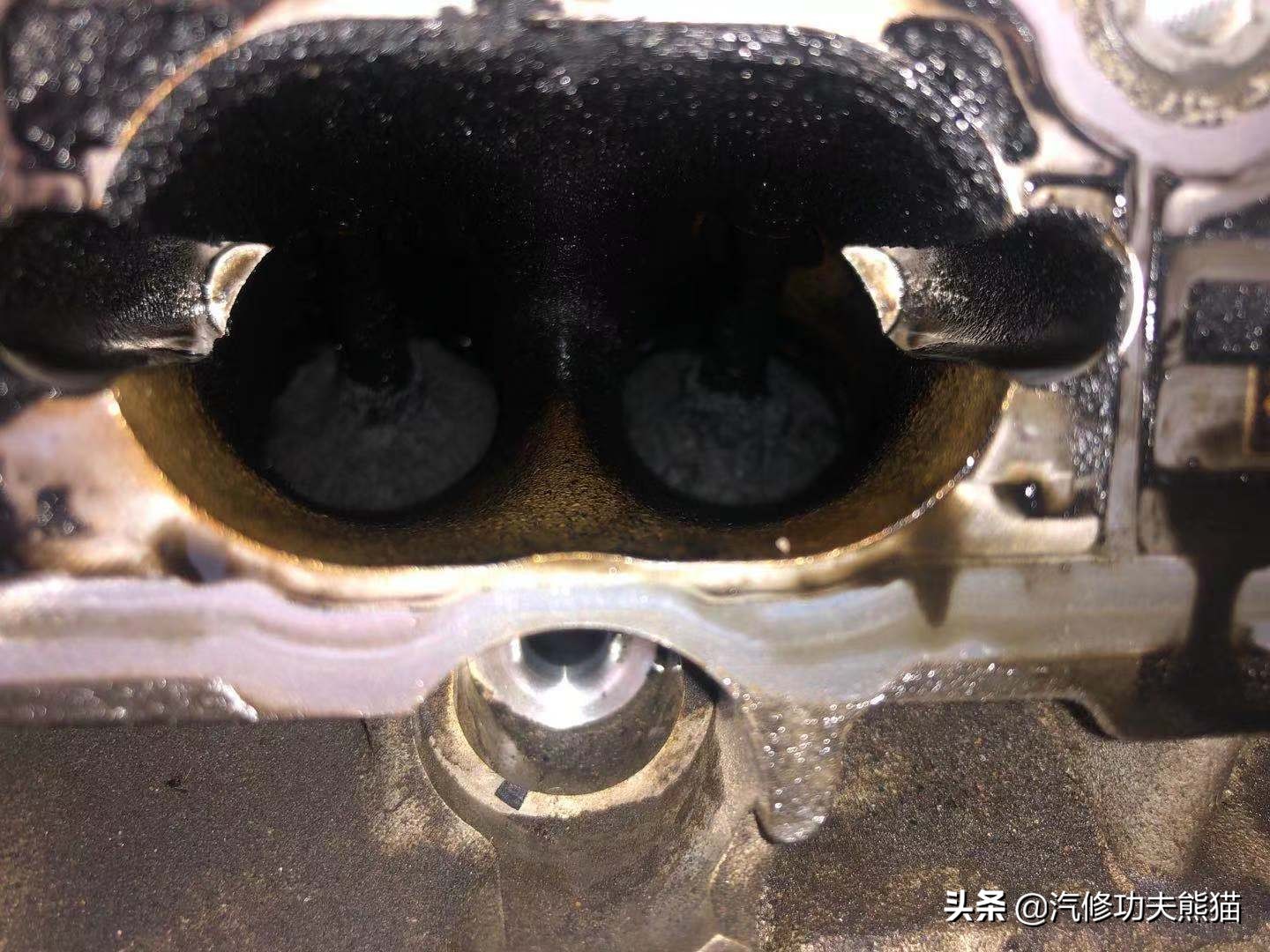 百年大众汽车品牌毁于烧机油？烧机油并非绝症，看看这台进口夏朗