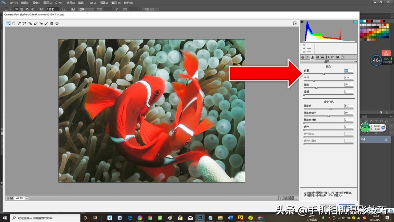 图片噪点太高后期能处理吗,噪点太高的照片后期怎么处理