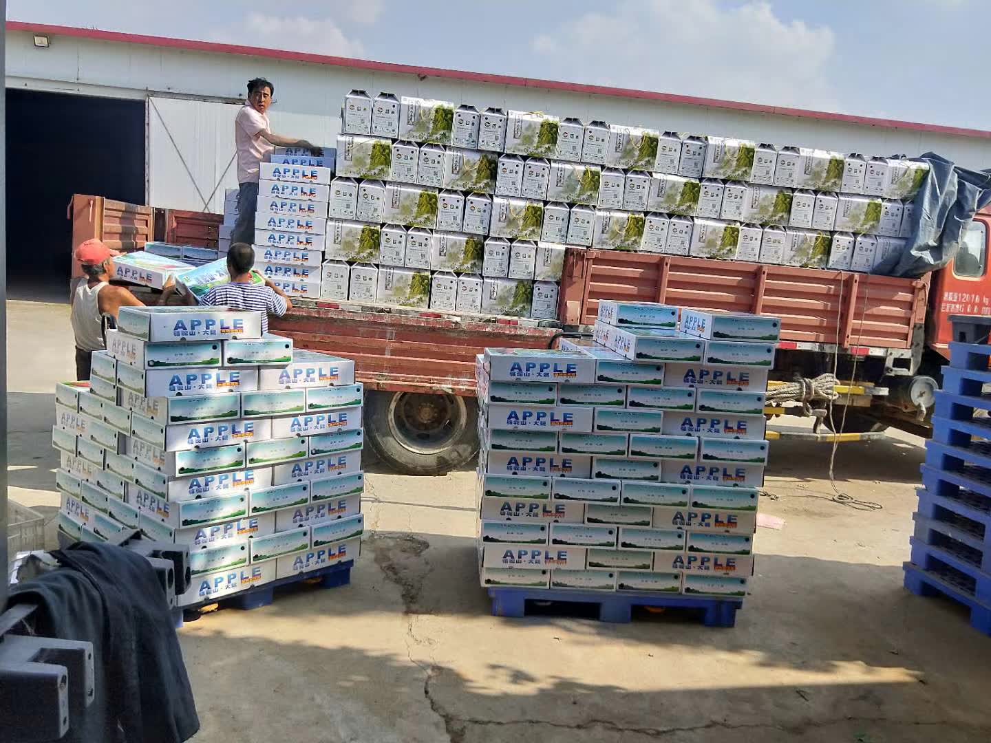 果农致富新模式,孙家栋自主创新