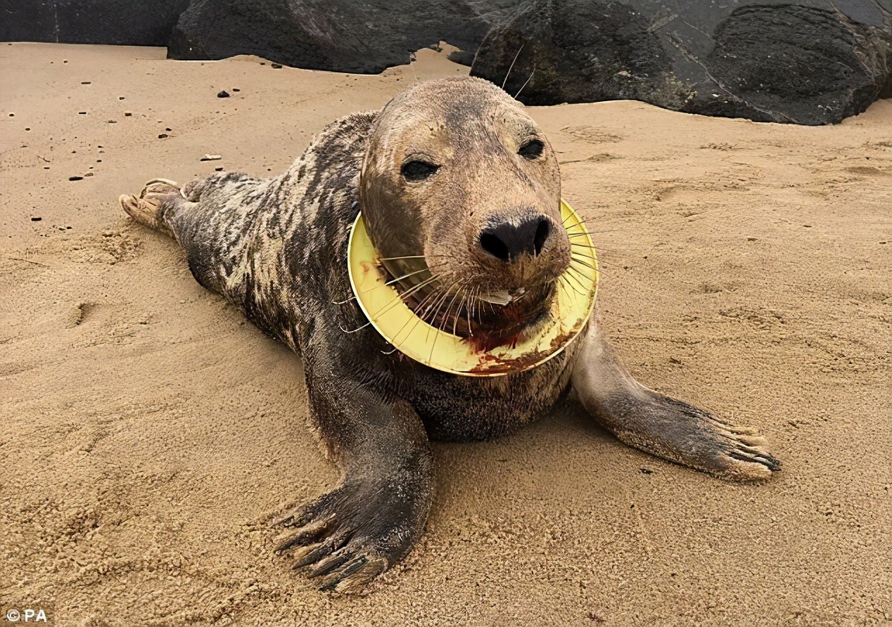 培训课程开场白怎么讲三分钟的,如何做好培训开场白