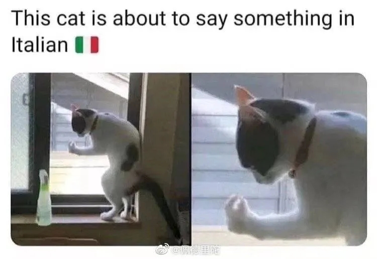 意大利人手势拳头放嘴巴上,意大利人喜欢做什么手势