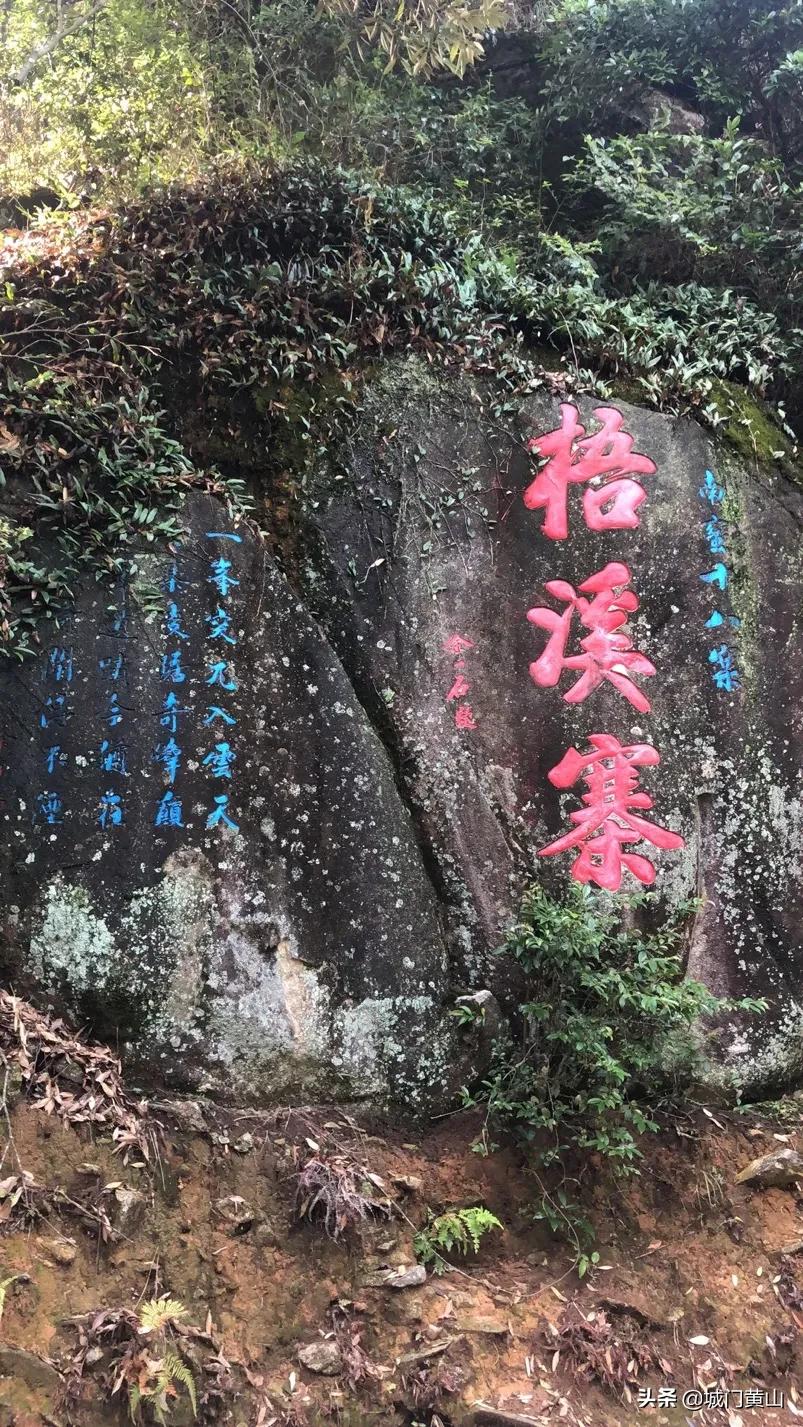 福州大湖乡冬瓜佛手瓜盛夏里在山里绽放