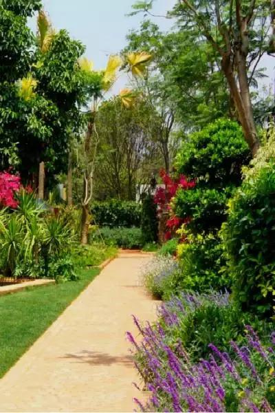 缘妙不可言不可思议,缘不可言