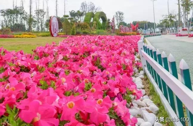今年春节在汕头怎么玩！家门口的游玩攻略！盘它！