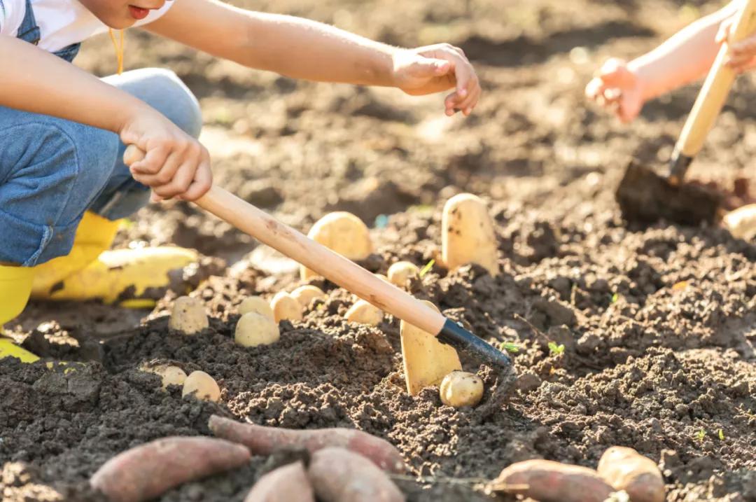 你不爱学习父母怎么办,你不爱学习有人帮你学习