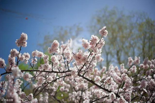 关于思乡送别爱国田园风光的古诗,有关爱国情怀边塞古诗词