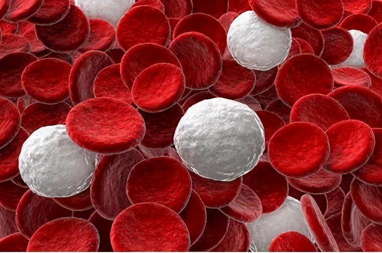 新生儿白细胞正常在什么范围,新生儿正常白细胞正常值是多少