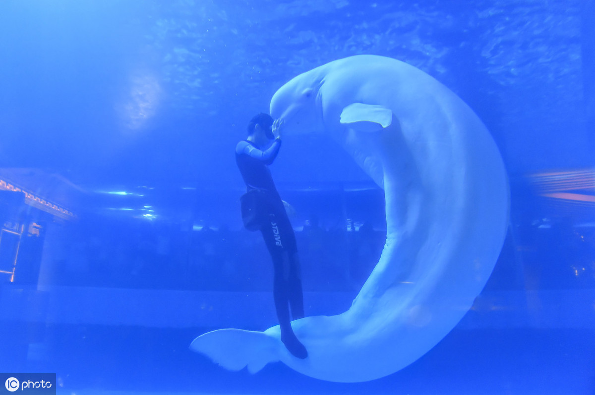 2020抖音最火十大打卡景点,抖音上最火的五大旅游景点推荐