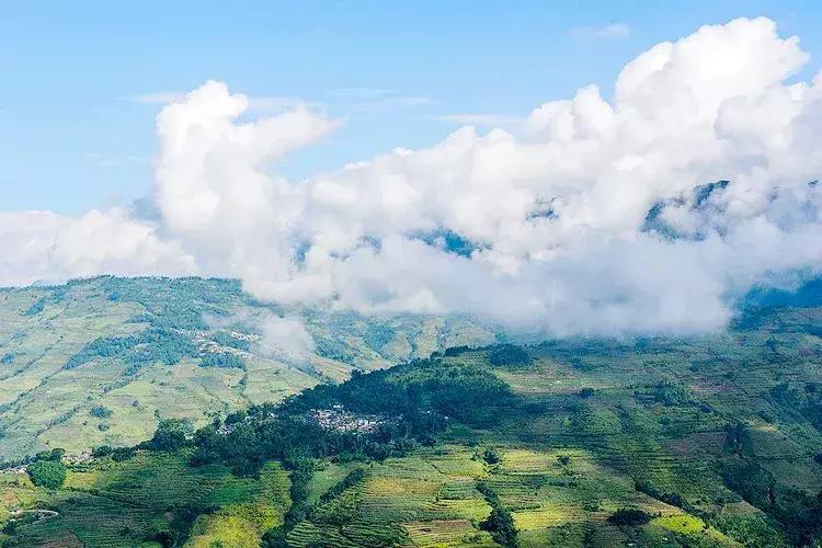 南怀瑾万物皆入我眼万事皆出我心,南怀瑾无论得意失意永远都要乐观