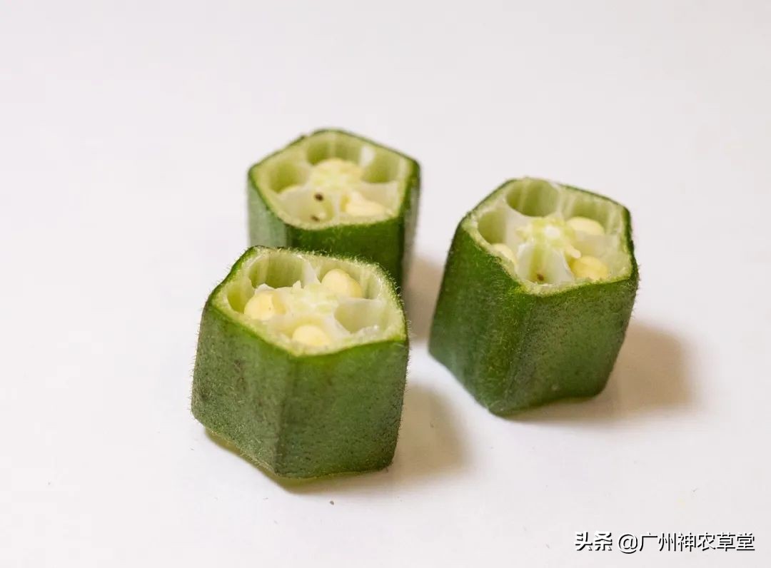 秋葵和曼陀罗长得像吗,如何辨别曼陀罗和龙葵