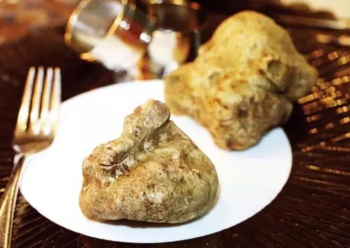 吃过最贵的海鲜是什么,吃过最奢侈的菜