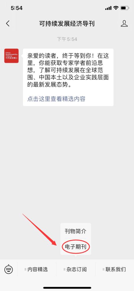 可持续发展经济导刊2019,经济增长小程序