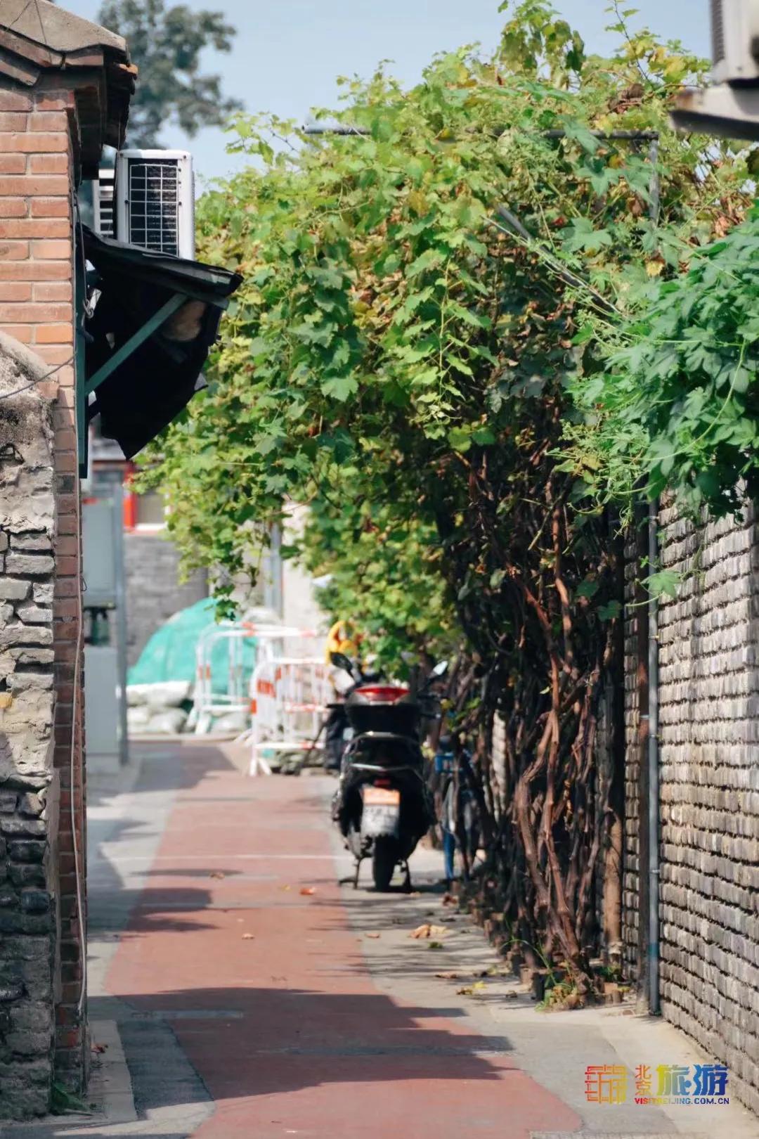 北京藏着一座神秘地下城,北京老城里竟藏着这么多古迹
