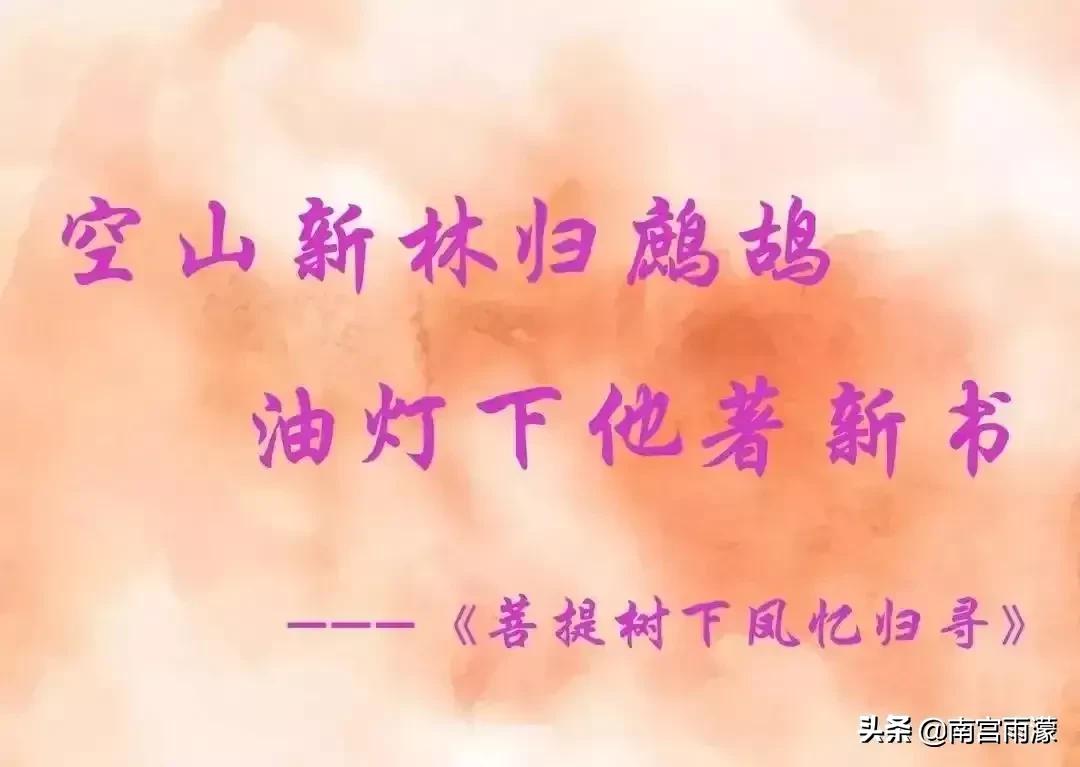 枕上书续写东华凤九白滚滚去凡间,枕上书凤九帝君大婚大结局