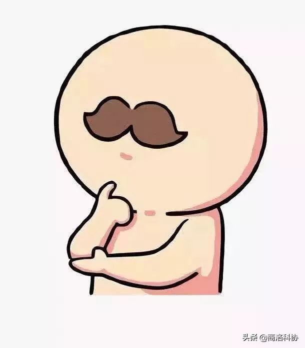 孕妇吃叶酸的正确方法图解,孕期叶酸的科普