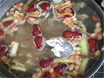 猪蹄哪个腿下奶好,猪蹄和什么搭配能催乳