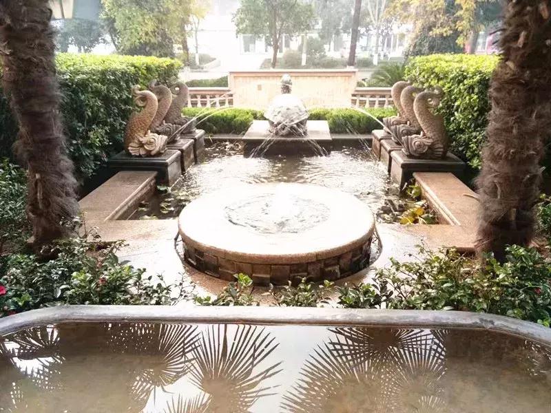 走进亮美嘉，感受光魅力