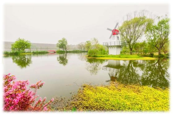 水调歌头荷花,水调歌头游览朗诵