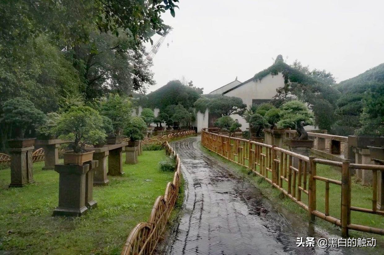 苏州除了拙政园还有哪个园林最好,苏州哪个园林最值得游玩