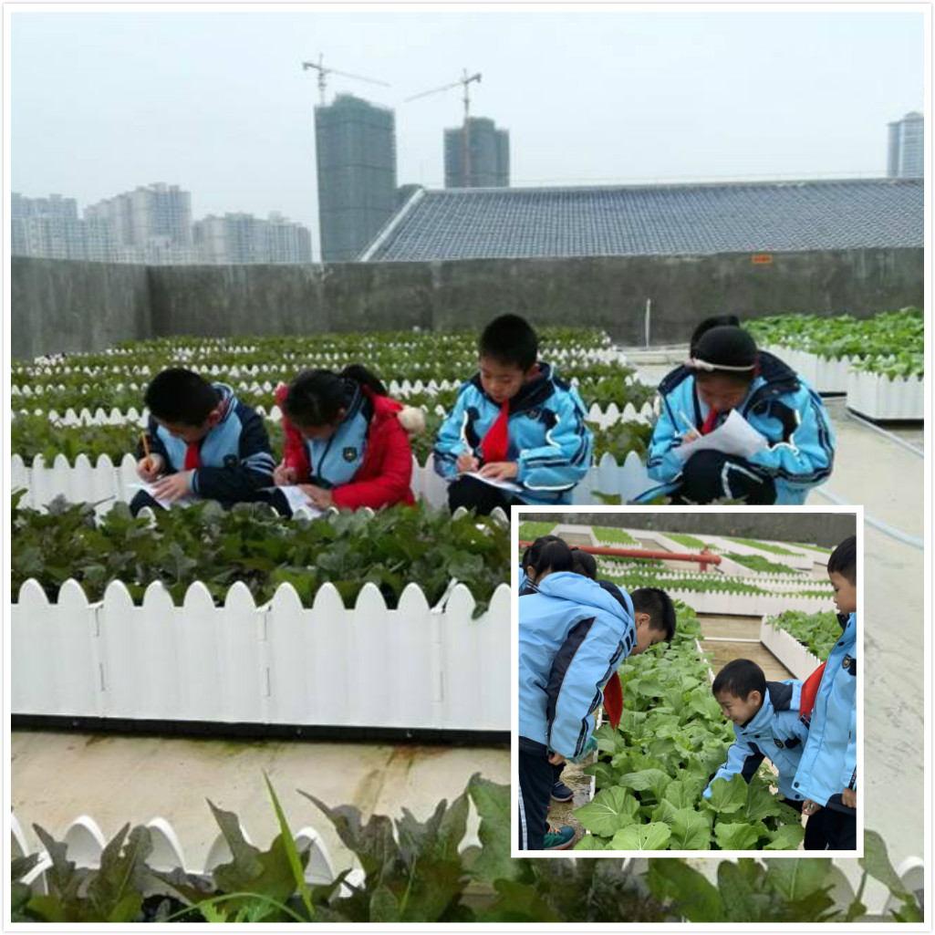 扬帆起航追求卓越,追求卓越锐意进取