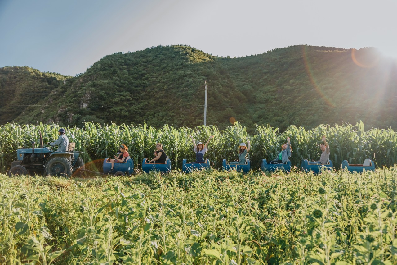 山野自然酷虫酷玩，玉米娃娃，一场自然与艺术融合的秋日盛宴
