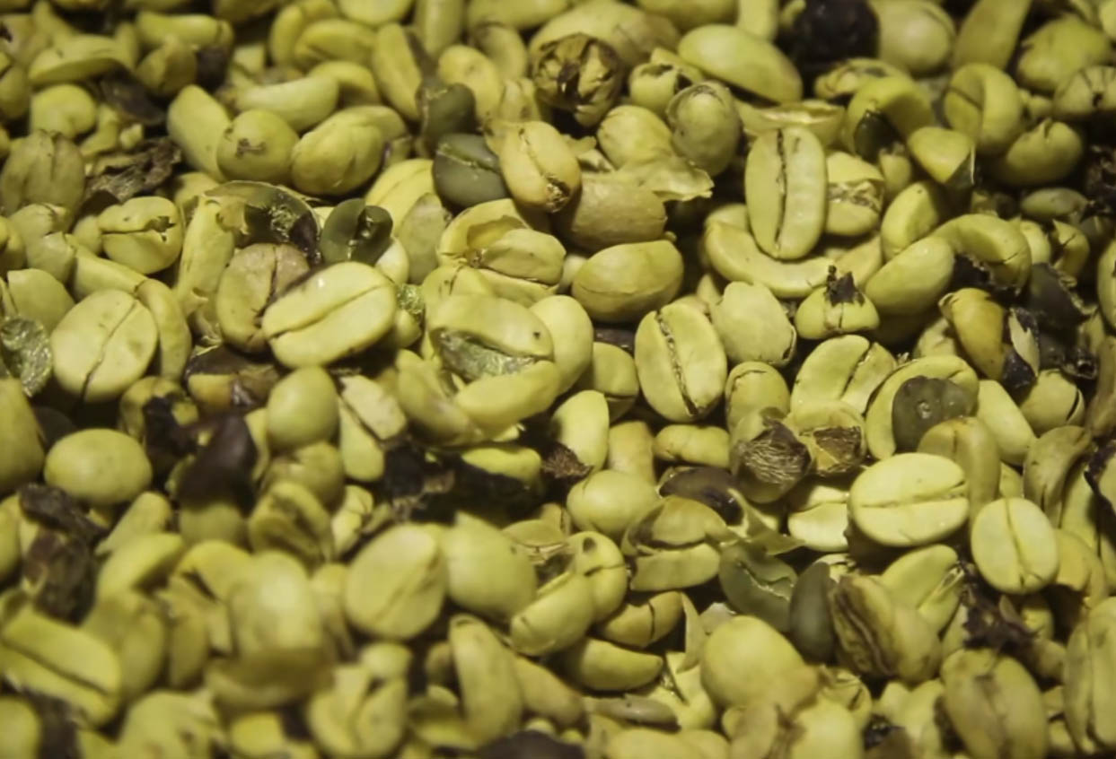 老挝中资工厂工资,老挝华人咖啡工厂