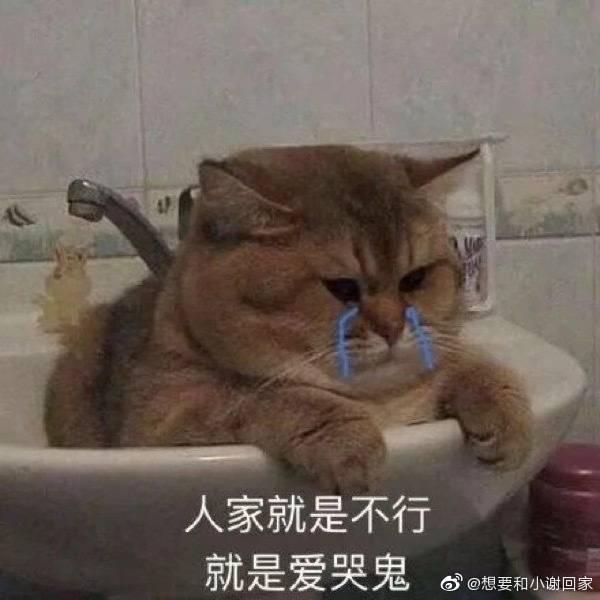 祖国接我们回家了图片,国外回国坐飞机的流程和注意事项