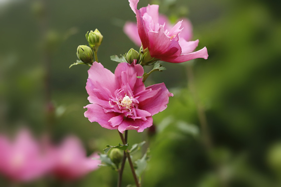 缺爱缺安全感的人如何自愈,从小缺爱的女人治愈的方法