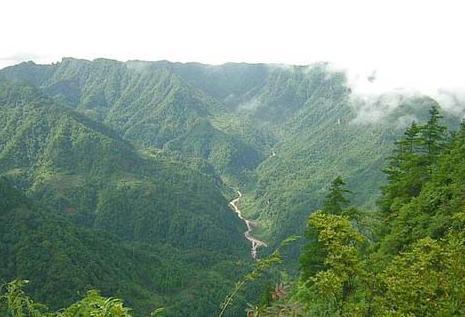 有哪些原始森林公园可以去玩,世界森林公园美景视频