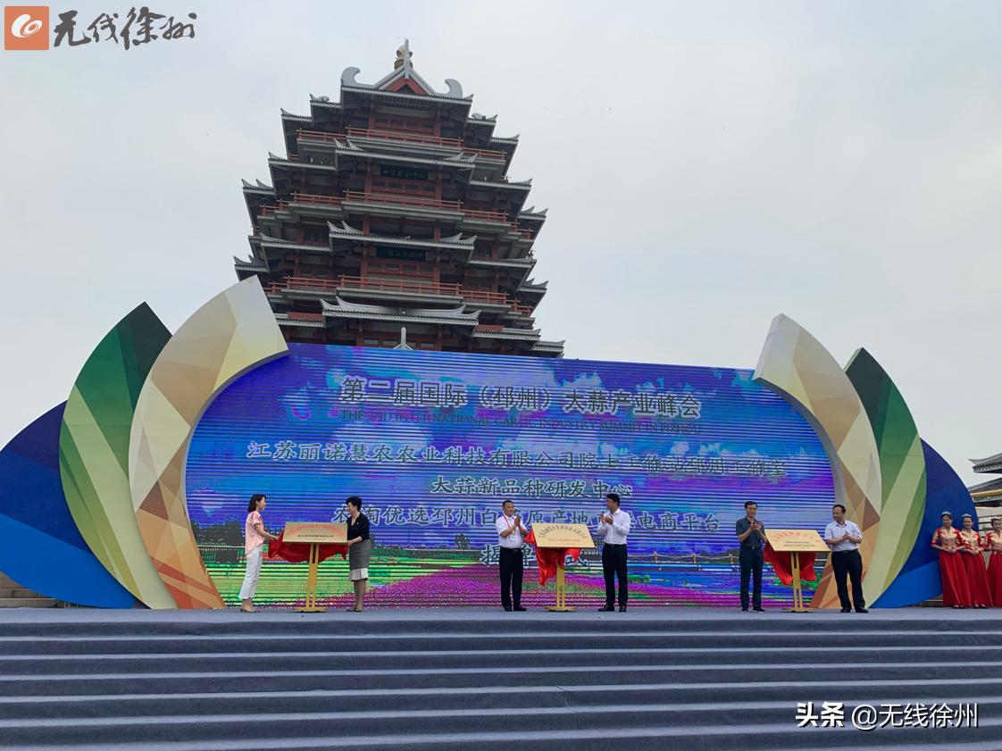 以蒜为媒:第二届国际(邳州)大蒜产业峰会举行