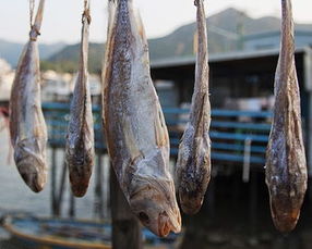 四种致癌鱼名单,十种致癌鱼名单