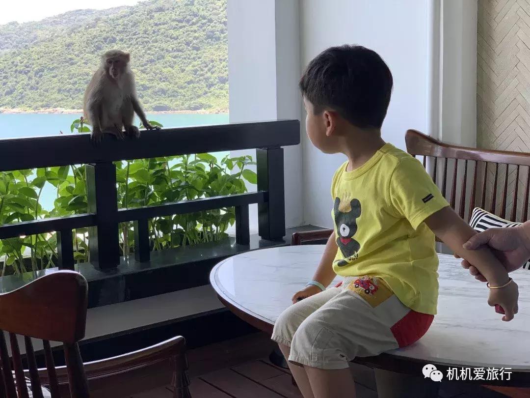 越南4天3晚跟团游,越南旅游芽庄6天五晚跟团游