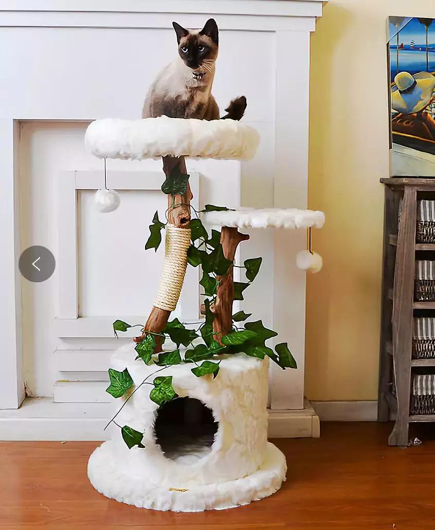 发育宝元气优食狗粮怎么样,发育宝健康起航系列