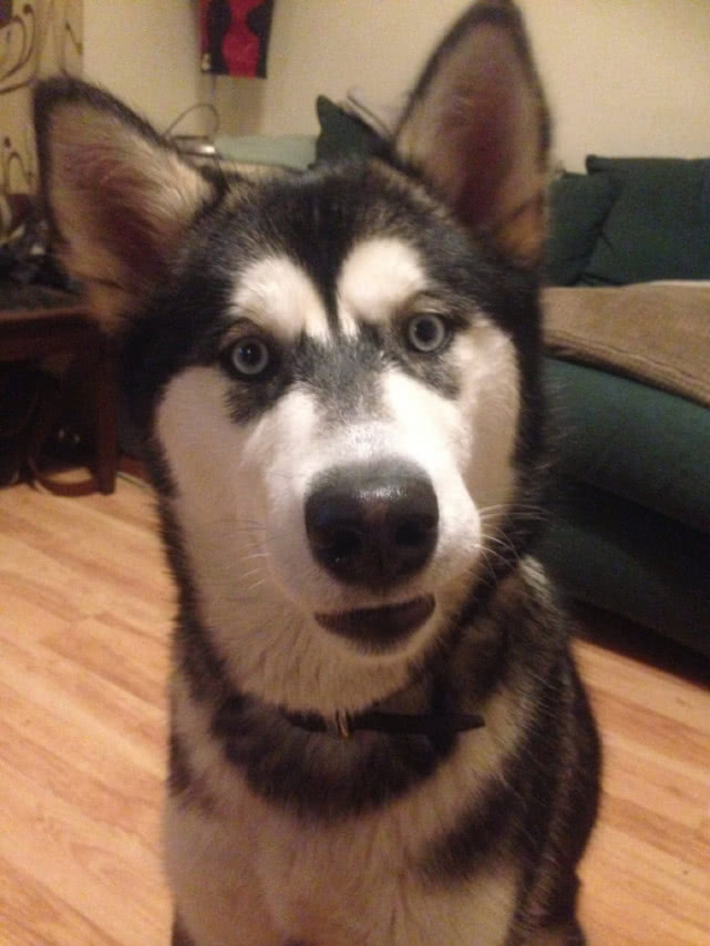 英国男子花800万买下废弃城堡翻新,英国男子花光积蓄买地挖宝