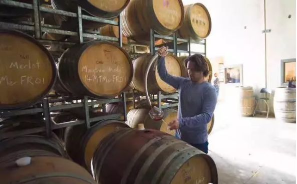 澳大利亚红酒小知识大全,一文了解意大利红酒