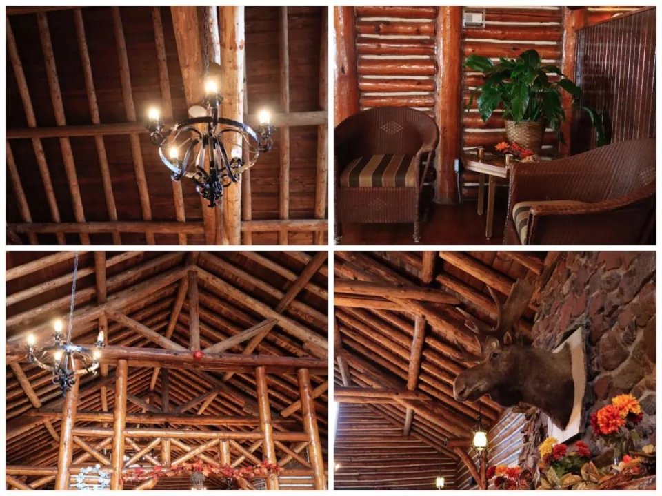 去加拿大旅行一定要买这个回国