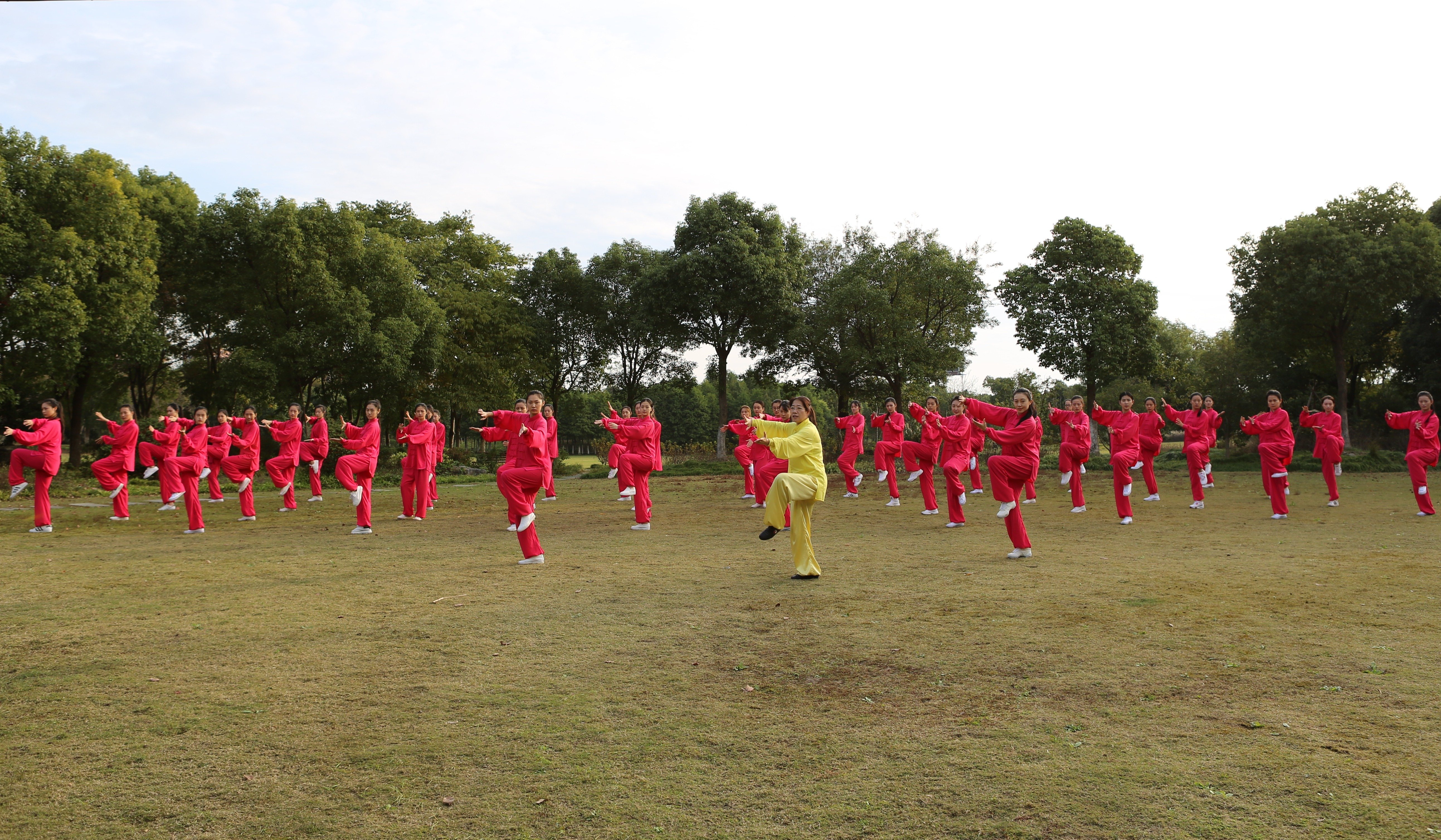 从零开始学24式太极拳,从零开始学太极站桩