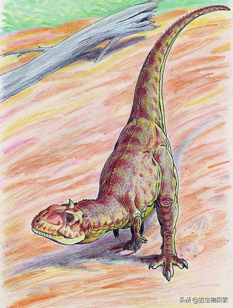 古生物学家的发现,发现新的巨型食肉恐龙物种