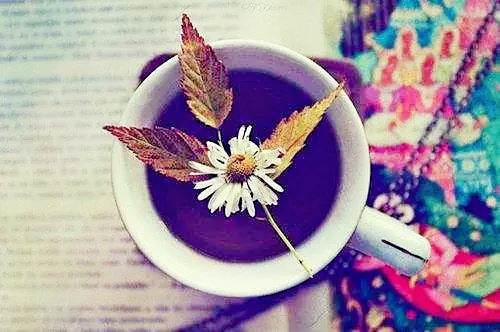 续杯的英语,续一杯用英文怎么说