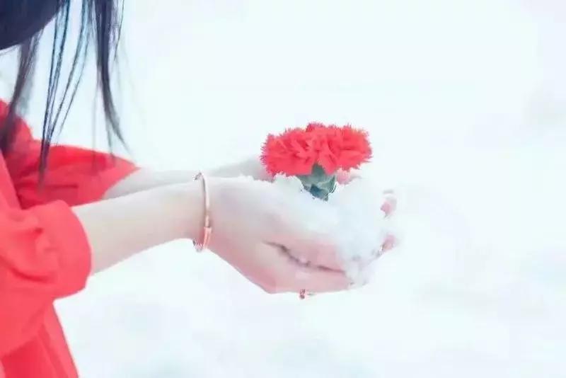 享受岁月静好浅笑安然,美文荐读让心在岁月中静好如初