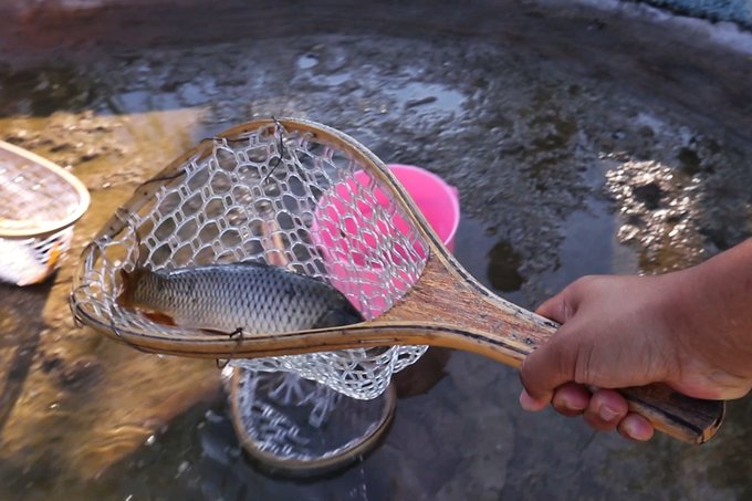 曹妃甸海上游,曹妃甸海上一日游哪里不错