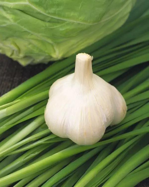 羊肉是发物肿瘤患者敢吃吗,海参是发物肿瘤患者能吃吗