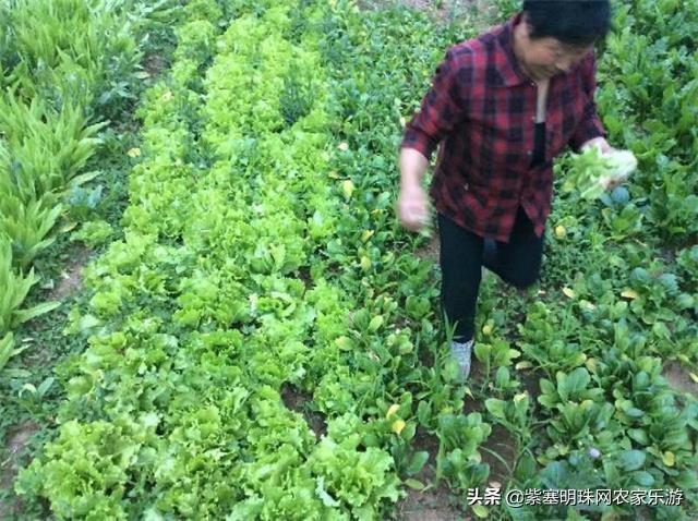 京郊游玩攻略房山十渡,踏青赏花看过来