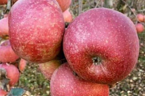 心理测试你觉得哪个笑得最开心,心理测试测你贵人是谁