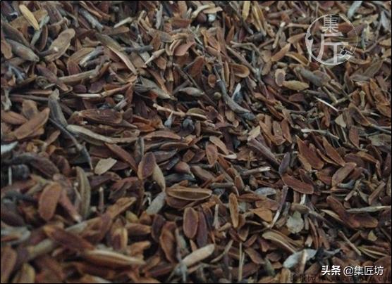 紫丁香的盆景造型与养护,白丁香盆景如何让它开花