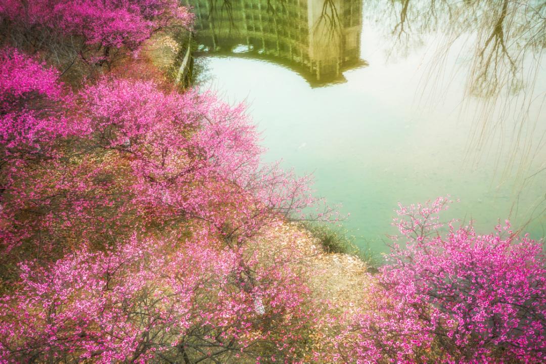 杭州美职学校风景,杭州美丽学校评选