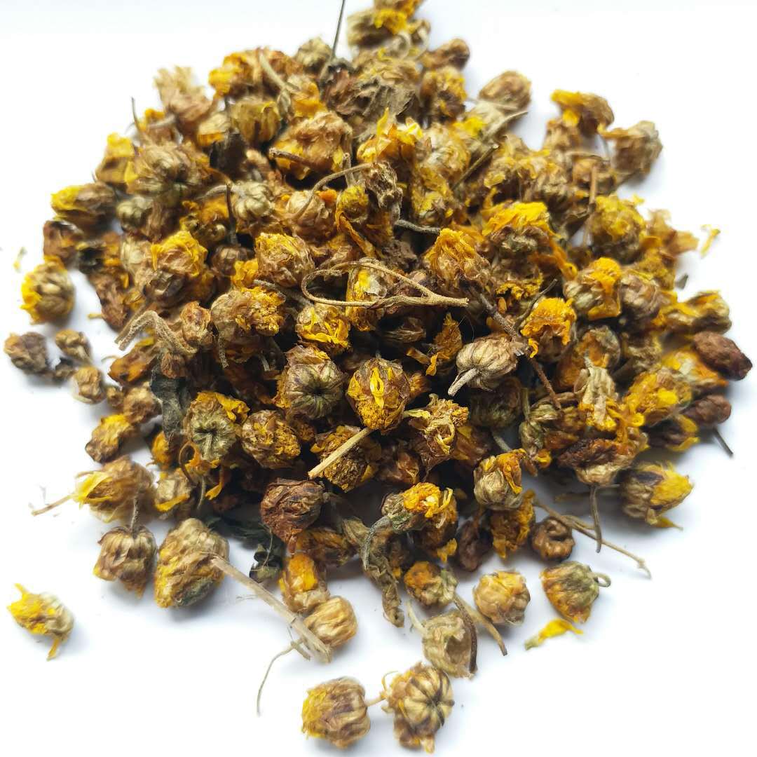 中药野菊花功用,每日中药